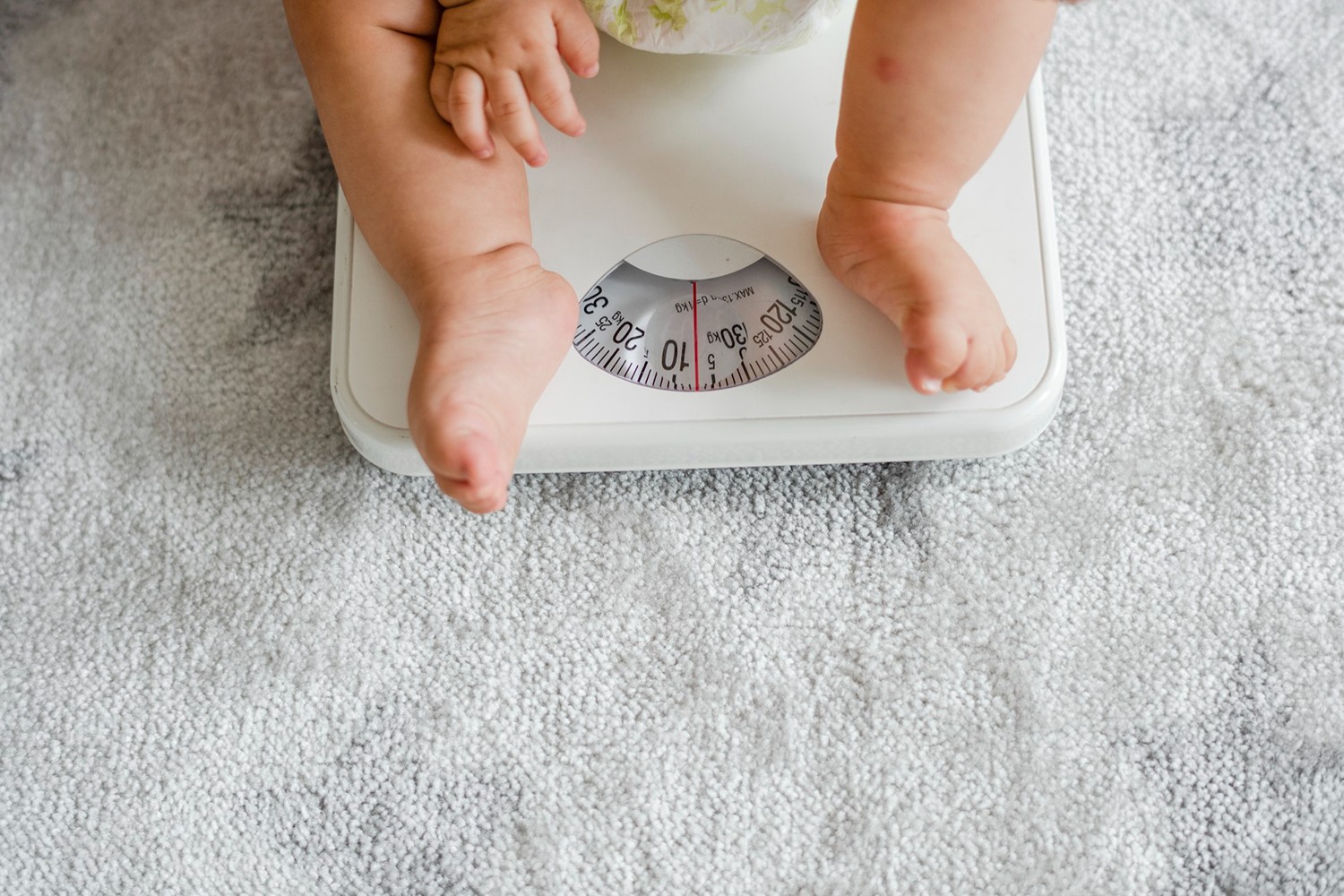 دورة السمنة في مرحلة الطفولة والمراهقة